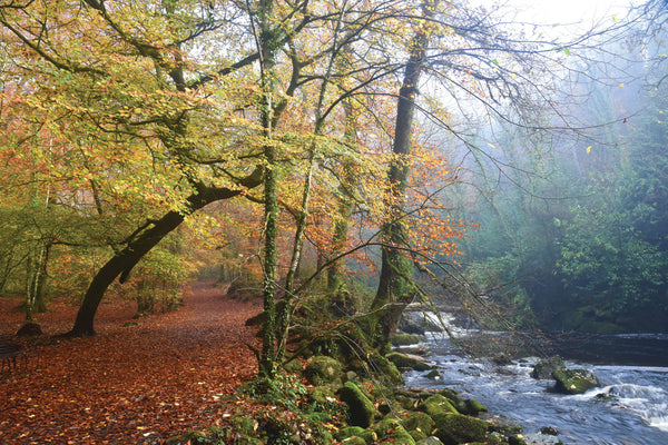 CA027 - Dartmoor 2027 Calendar