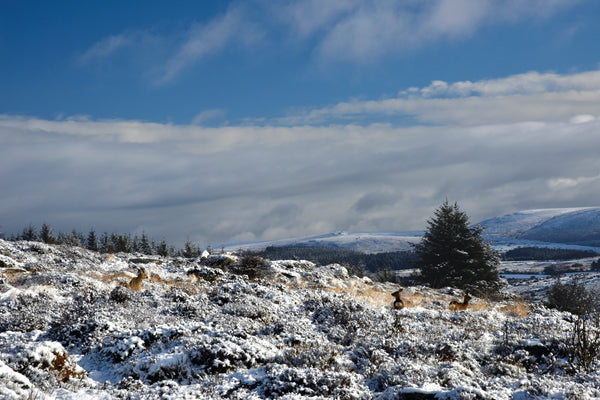 CA027 - Dartmoor 2027 Calendar