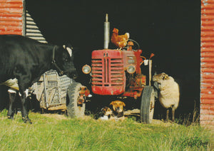 C129 - animal Tractor - Blank Card - Rectangle