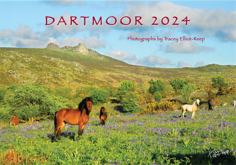 CA024x3 - Dartmoor 2024 Calendar (3 for £27)