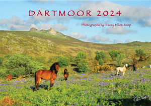 CA024x2 - Dartmoor 2024 Calendar (2 for £20)