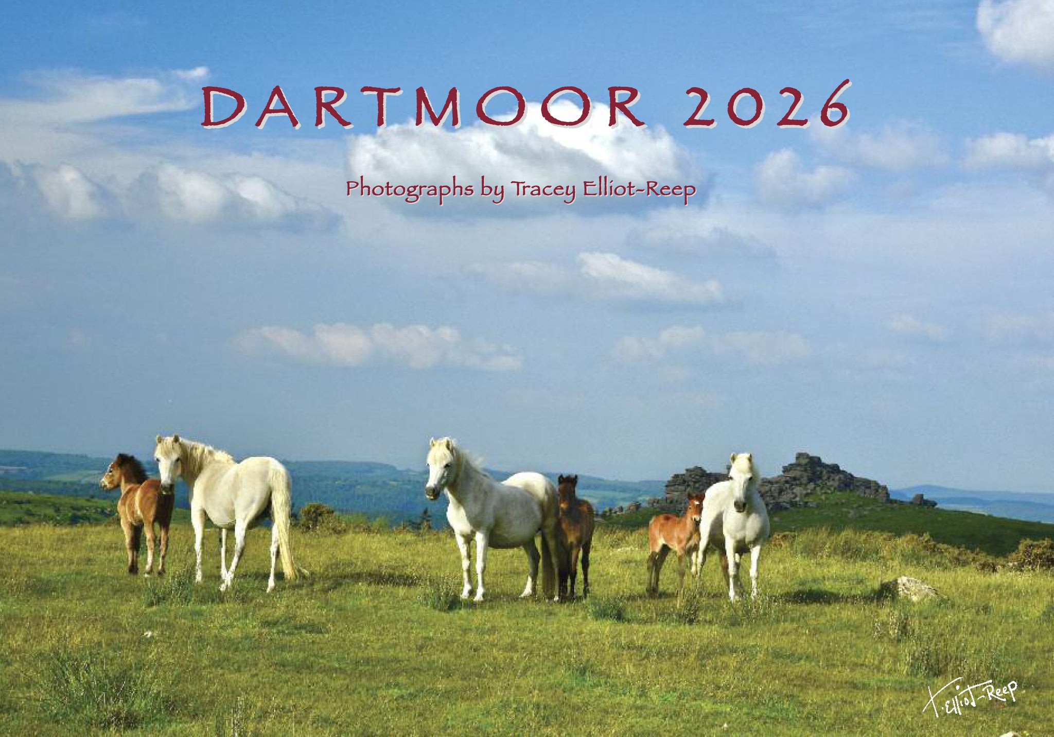 CA026x3 - Dartmoor 2026 Calendar (3 for £33)
