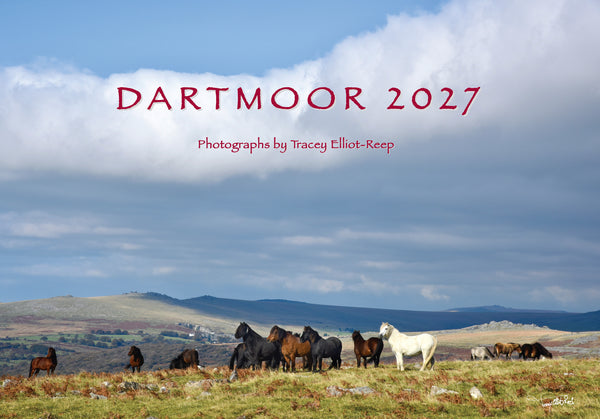 CA027 - Dartmoor 2027 Calendar