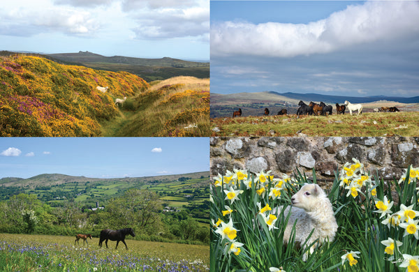 CA027 - Dartmoor 2027 Calendar