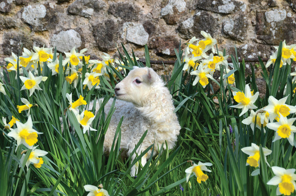 CA027 - Dartmoor 2027 Calendar
