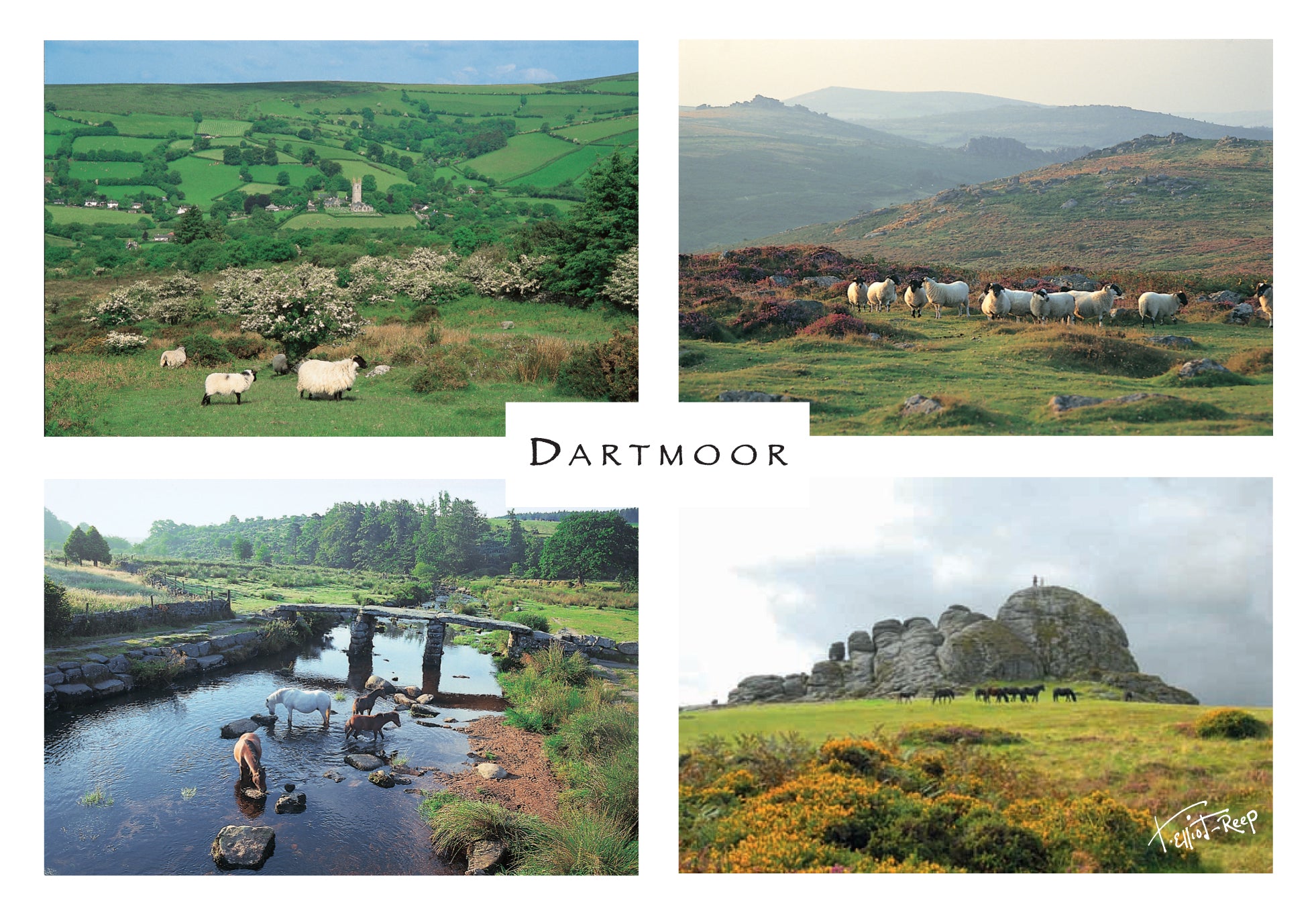 P037 - Dartmoor Composite - Postcard - Regular - Pack of 10