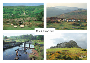 P037 - Dartmoor Composite - Postcard - Regular - Pack of 10