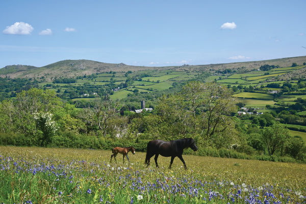CA027 - Dartmoor 2027 Calendar