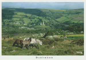 P065 - Widecombe-in-the-Moor - Postcard - Regular - Pack of 10