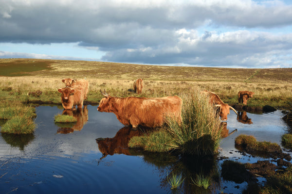 CA027 - Dartmoor 2027 Calendar