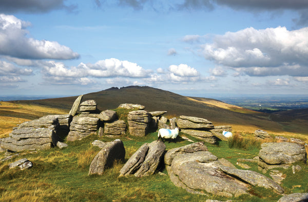 CA026x3 - Dartmoor 2026 Calendar (3 for £33)
