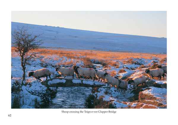 B18 - Dartmoor NEW - Flexi-Cover Book