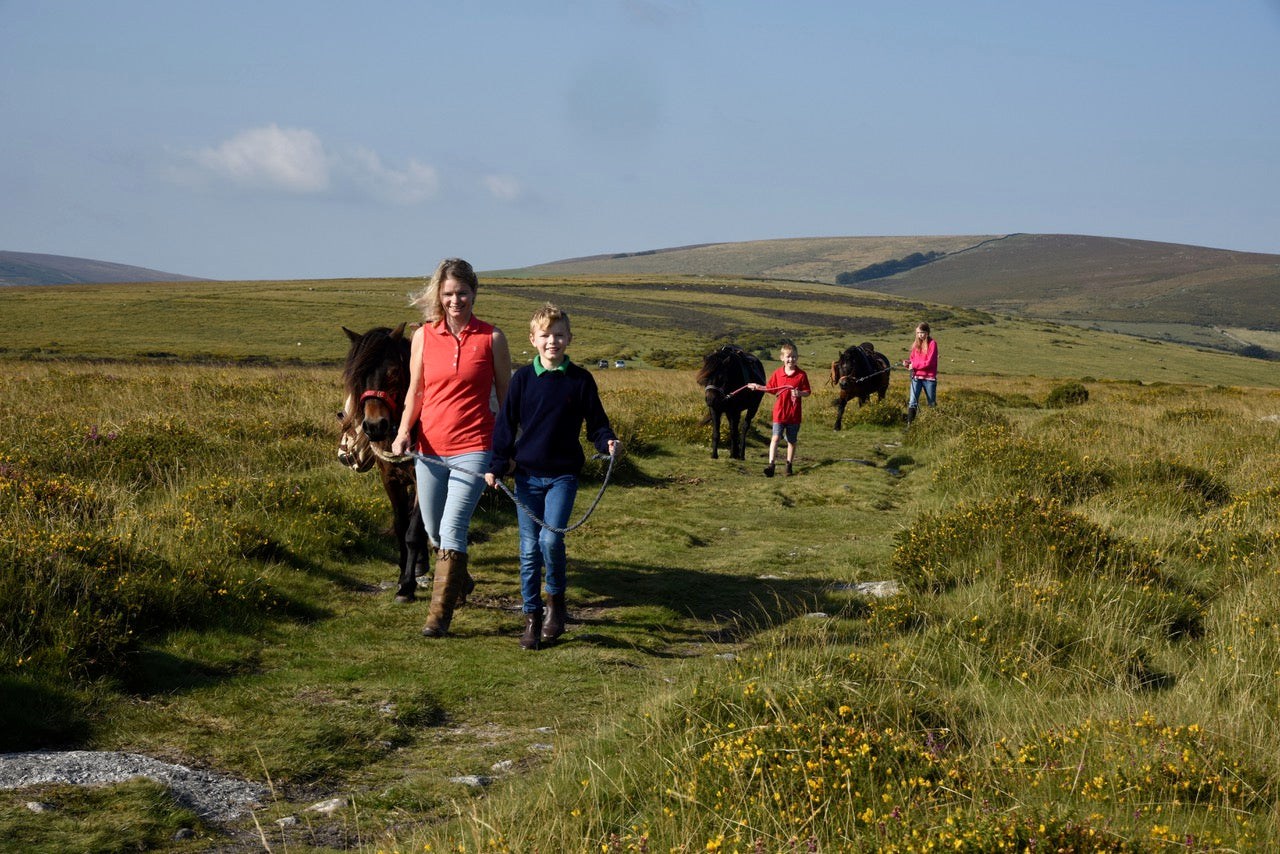 PONY WALKS ON DARTMOOR