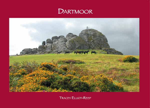 B18 - Dartmoor NEW - Flexi-Cover Book