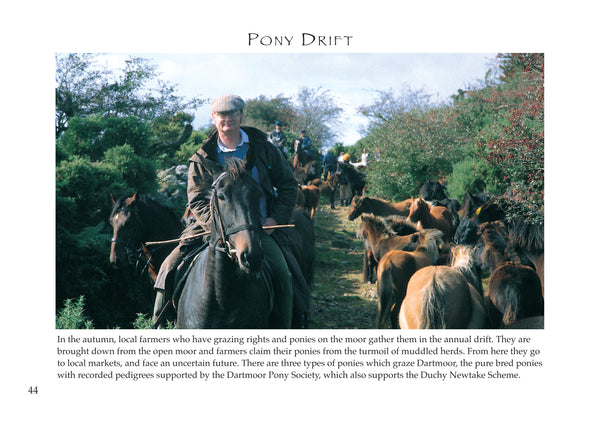 B18 - Dartmoor NEW - Flexi-Cover Book