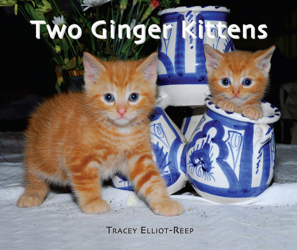 B39 - NEW - Children's Books  - Three Ginger Story Books for early readers