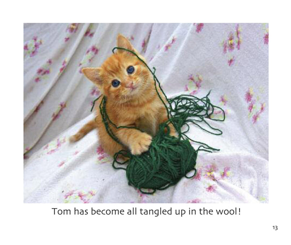 B37 - Two Ginger Kittens - Flexi-cover Book