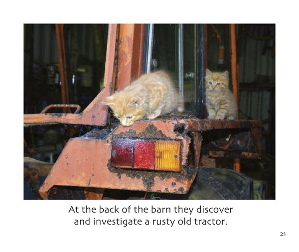 B37 - Two Ginger Kittens - Flexi-cover Book