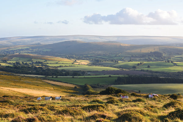CA026x3 - Dartmoor 2026 Calendar (3 for £33)