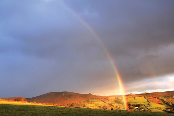 CA024 - Dartmoor 2024 Calendar