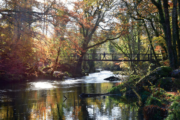 CA026x3 - Dartmoor 2026 Calendar (3 for £33)