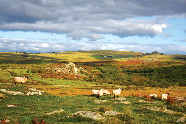 CA024x3 - Dartmoor 2024 Calendar (3 for £27)