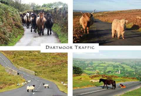 P063 - Dartmoor Traffic - Postcard - Regular - Pack of 10