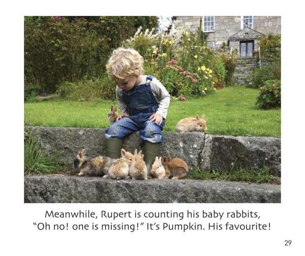 B36 - Pumpkin the Rabbit- Flexi-cover Book