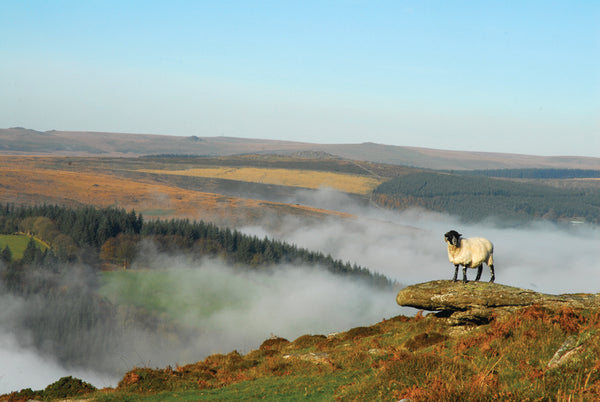 CA024x3 - Dartmoor 2024 Calendar (3 for £27)