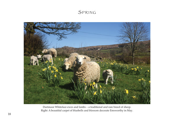 B18 - Dartmoor NEW - Flexi-Cover Book