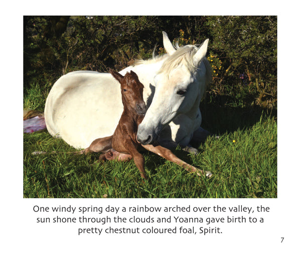 B38 - Spirit the Foal - Flexi-cover Book
