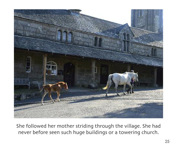 B38 - Spirit the Foal - Flexi-cover Book