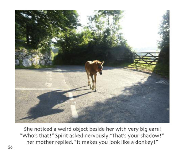 B38 - Spirit the Foal - Flexi-cover Book