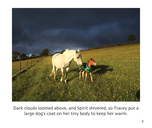 B38 - Spirit the Foal - Flexi-cover Book