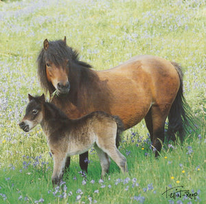 C102 - Pony Pair - Blank Card - Square