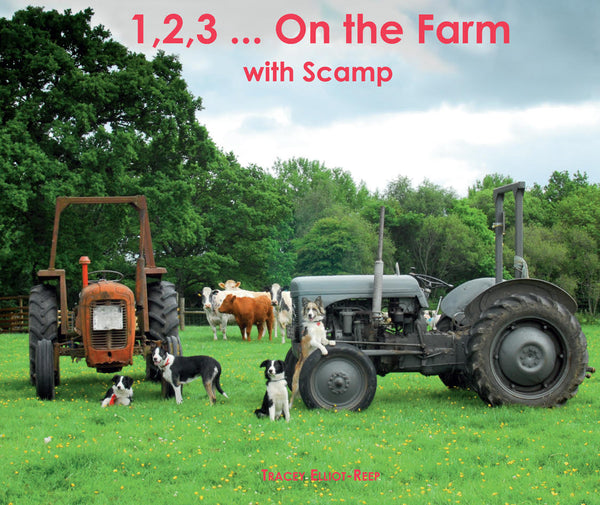 BA35 - On the Farm Stories with Scamp - NEW - Bundle Set of all 5 Flexi-Cover Books PLUS bonus book Terrier Puppies at Christmas