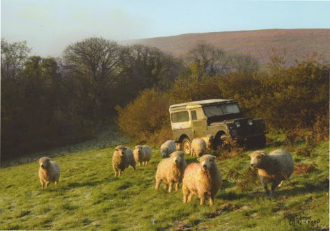 S145 - Landrover Sheep - Scripture Card - Rectangle