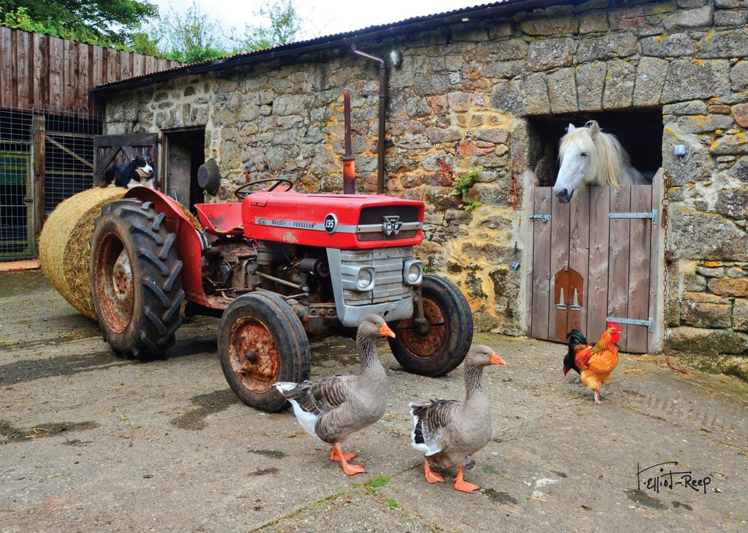 C177 - Farmyard Tractor - Blank Card - Rectangle