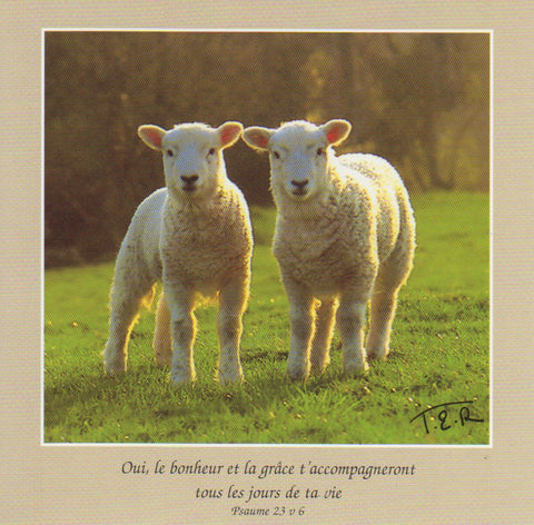 FS019 - La Vie a Deux - French Scripture Card - Square