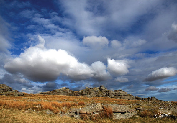 CA018 - Dartmoor 2018 Calendar