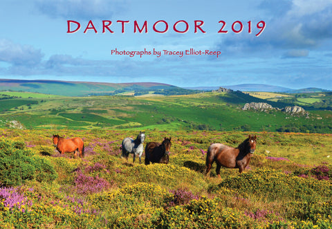 CA019 - Dartmoor 2019 Calendar
