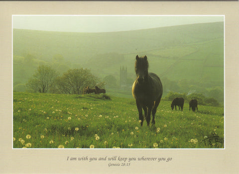 S030 - Dartmoor And Dandelions - Scripture Card - Rectangle