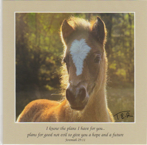 S042 - Starlight - Scripture Card - Square