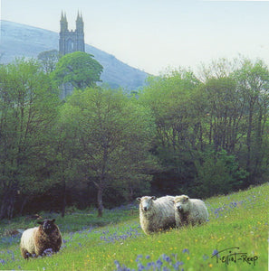 C046 - Spring Pastures - Blank Card - Square