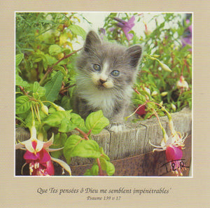 FS049 - Chatton - French Scripture Card - Square