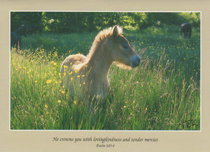 S054 - Pony Halo - Scripture Card - Rectangle