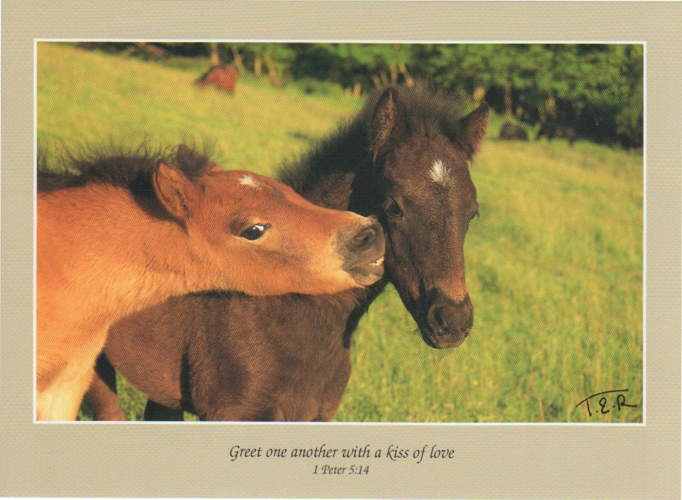 S055 - Pony Kisses - Scripture Card - Rectangle