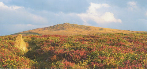 P056 - Rippon Tor - Postcard - Panoramic - Pack of 10