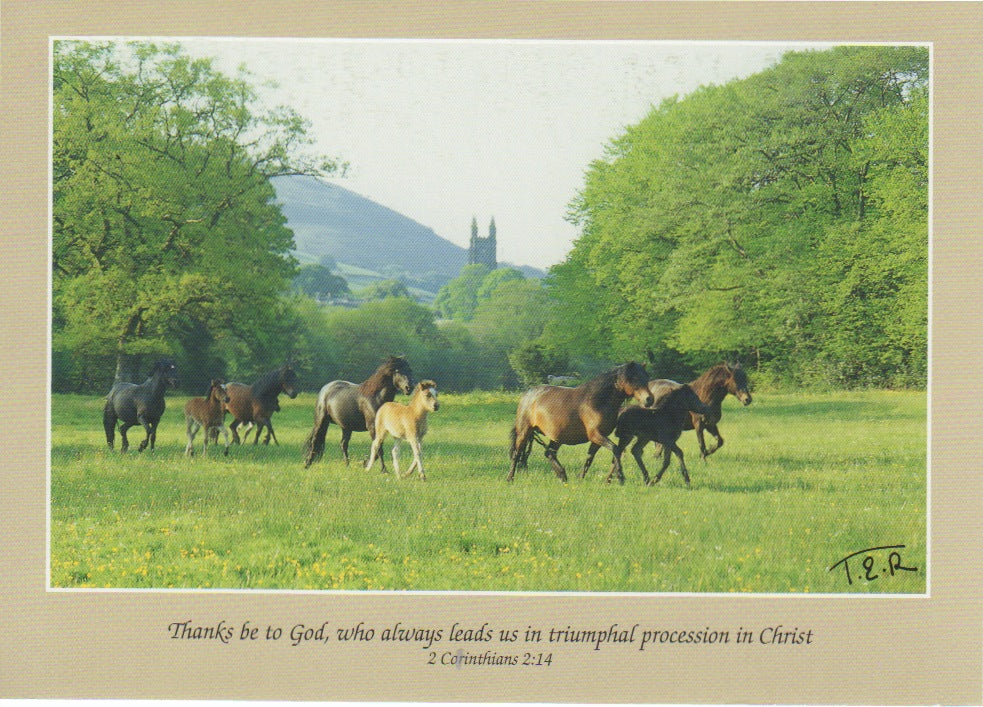 S056 - Ponies in Widecombe Valley - Scripture Card - Rectangle