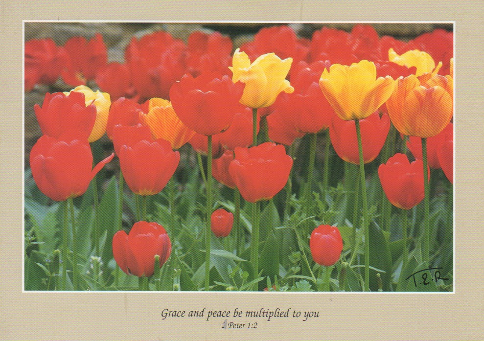 S058 - Tulips - Scripture Card - Rectangle